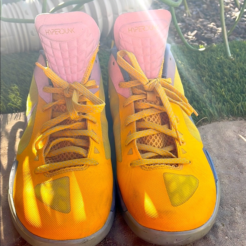 Nike Men’s Zoom Hyperdunk Low PE Collection Size 15